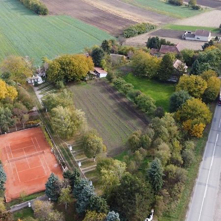 B&B Villa Pipacs Feketić 외부 사진