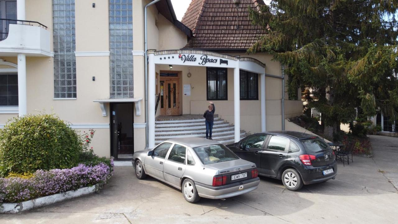 B&B Villa Pipacs Feketić 외부 사진