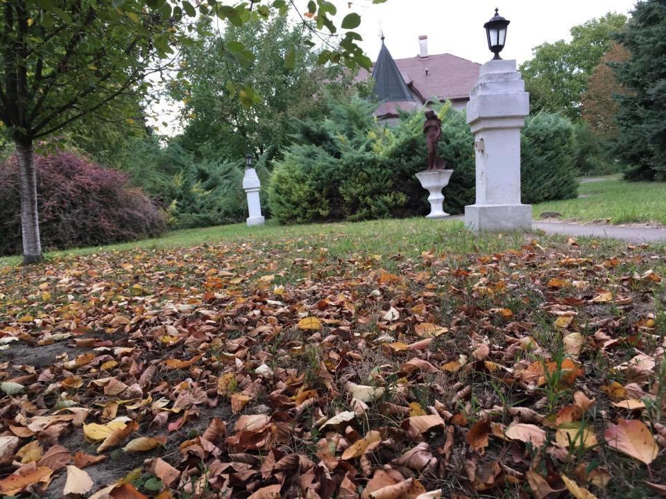 B&B Villa Pipacs Feketić 외부 사진