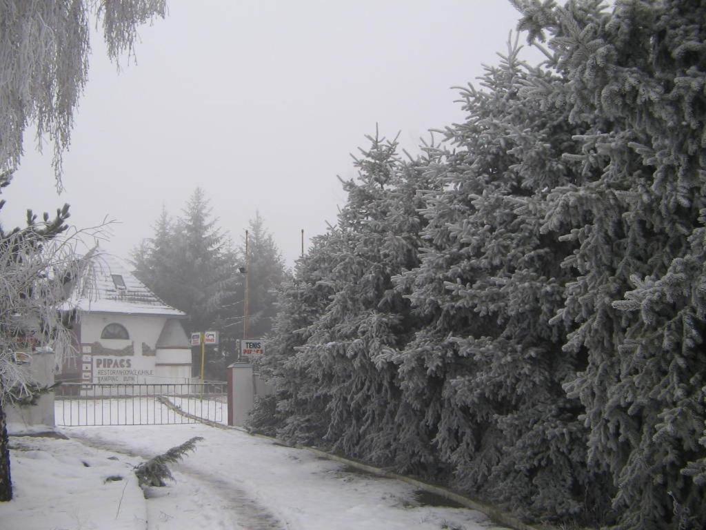 B&B Villa Pipacs Feketić 외부 사진